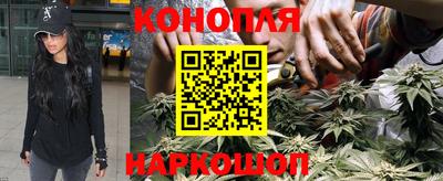 jwh Михайловка