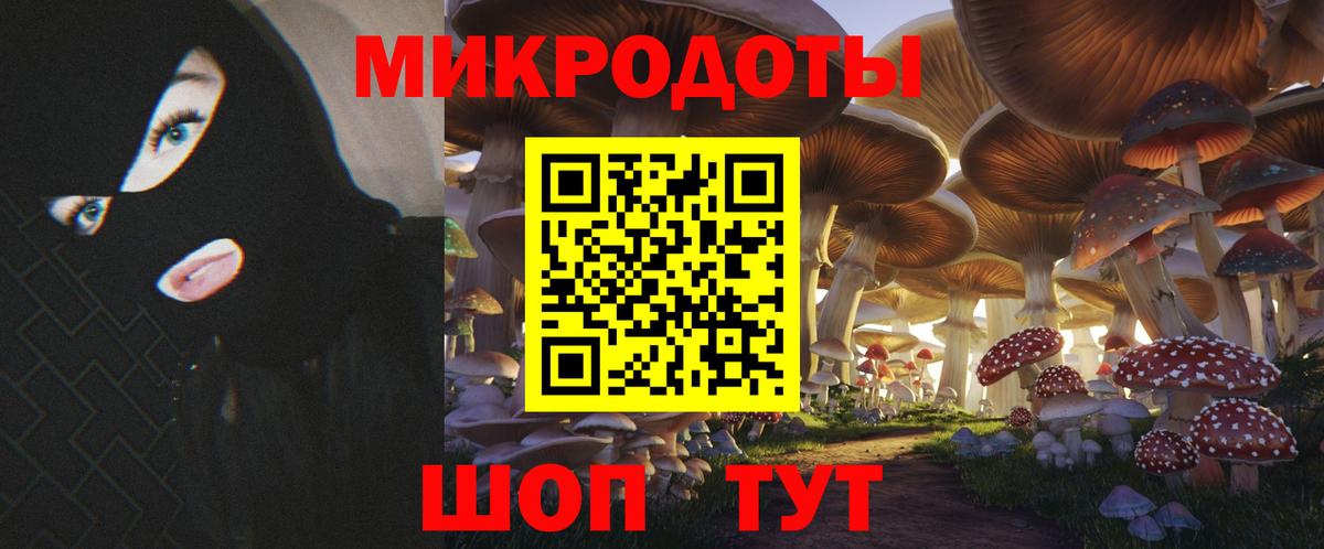 Галлюциногенные грибы прущие грибы Куйбышев